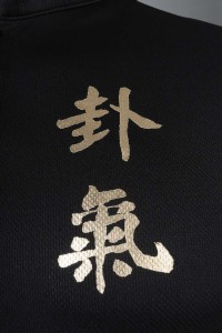 W212 custom sweatshirt black stand neck sweatshirt suction row mesh Chinese tang wear collar gongfu shirt martial arts qigong tai chi sweatshirt manufacturer detail view-5